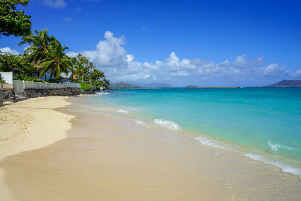 istock Lanikai beach Oahu Hawaii 1392285713