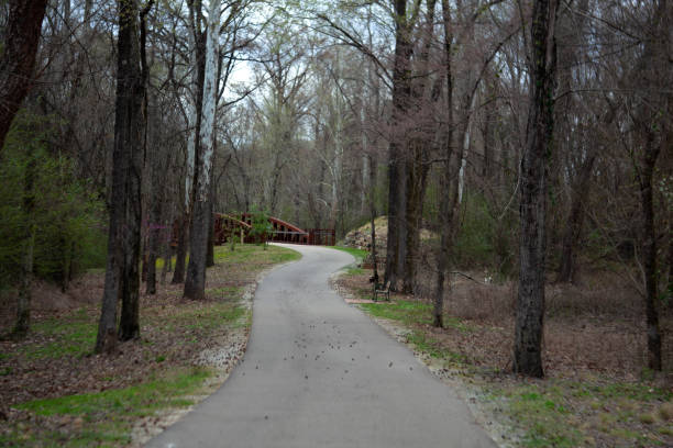 istock Walking, Running and Biking path thought the park. 1392287156