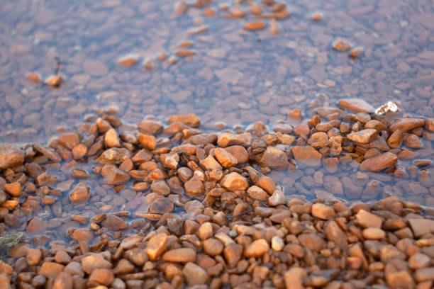 Rocks and pebbles by the water