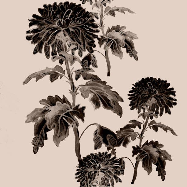 ilustrações, clipart, desenhos animados e ícones de ink monocromático padrão floral sem emenda com silhuetas marrons de crisântemo isolado em fundo bege. - sketch contemporary black ink