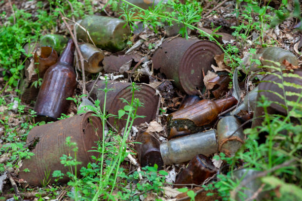 Rusty old tin cans and glass bottles decaying in at dump site in the forest.
