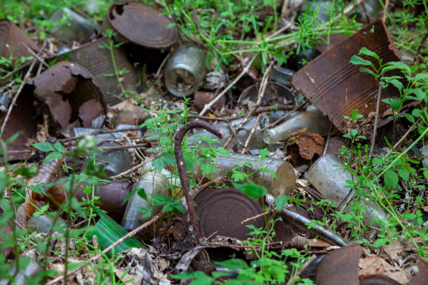 istock Rusty old tin cans and glass bottles decaying in at dump site in the forest. 1392287376