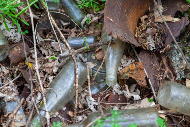 istock Rusty old tin cans and glass bottles decaying in at dump site in the forest. 1392287391
