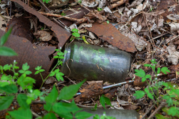 istock Rusty old tin cans and glass bottles decaying in at dump site in the forest. 1392287398
