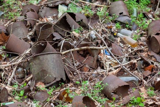 istock Rusty old tin cans and glass bottles decaying in at dump site in the forest. 1392287407