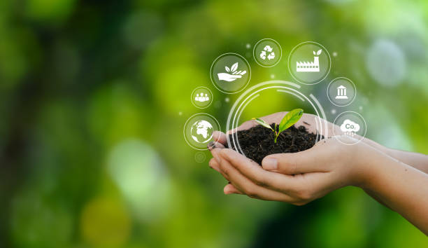 menschliche hand hält grünen umweltbaum esg-ikone gesellschaft und governance nachhaltiges umweltkonzept der welt - sustainability stock-fotos und bilder