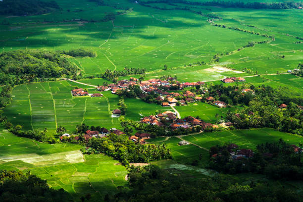 istock Village houses near rice fields, Sukabumi, west java, Indonesia 1392287930
