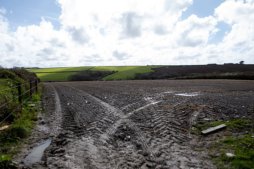 Mud and slush brown. Truck tracks. Deep, impenetrable mud. Danger of getting stuck