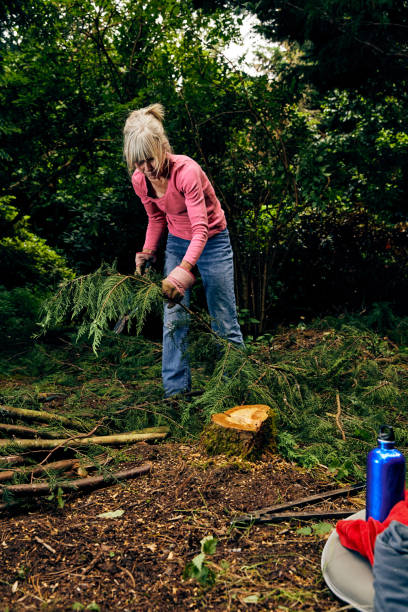 istock Woman using garden loppers on rhododendron bush 1392288947