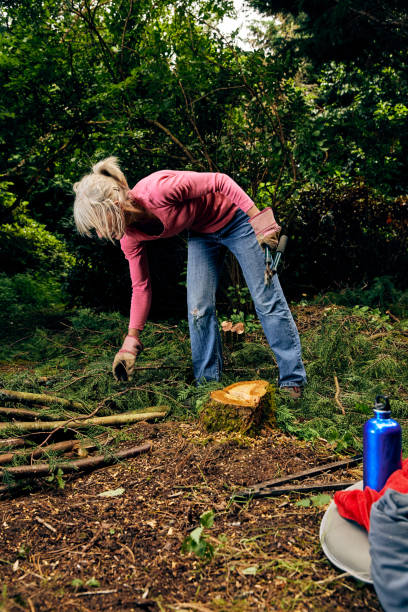 istock Woman using garden loppers on rhododendron bush 1392290332