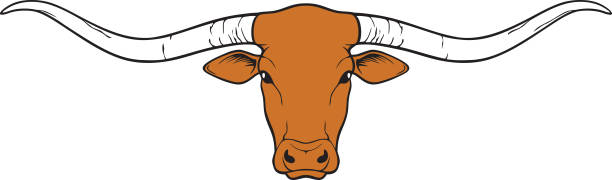 illustrations, cliparts, dessins animés et icônes de tête de longhorn (design texas, icône de taureau) - texas longhorn cattle