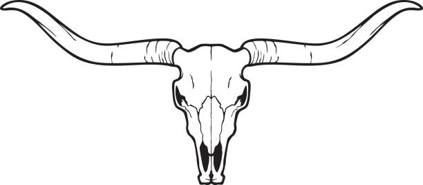 czaszka głowy longhorn (ikona byka lub krowy) - horned death dead texas longhorn cattle stock illustrations