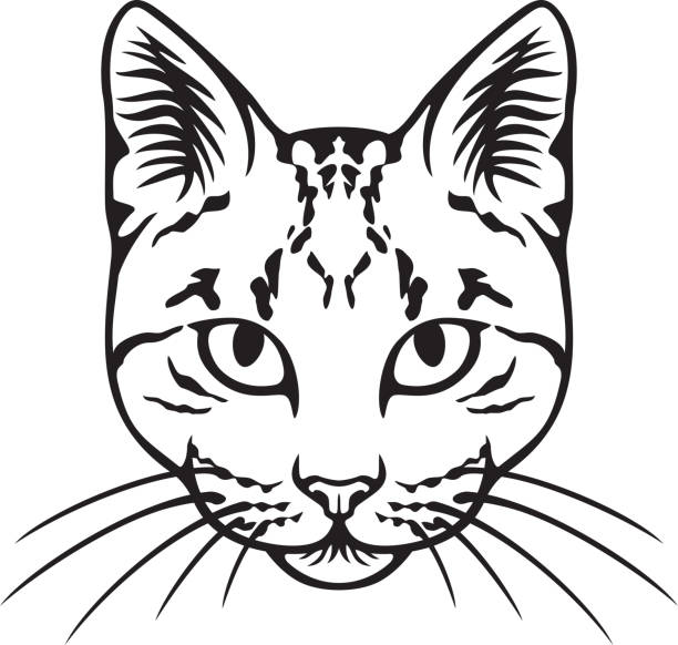 Cat face black and white vector art illustration
