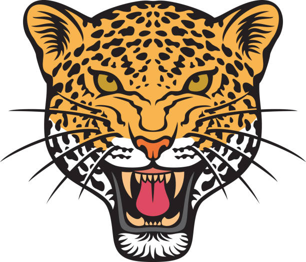 Jaguar face (animal head) color vector art illustration