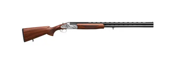 Photo of Luxury double-barreled shotgun with a vertical arrangement of barrels. Expensive weapon for hunters. Isolate on a white background.