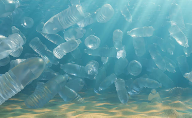 Abundance of plastic bottles in water