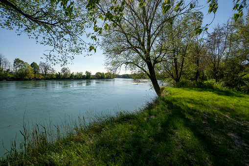 Banks of the Rhône river in spring in the department of Ain in spring