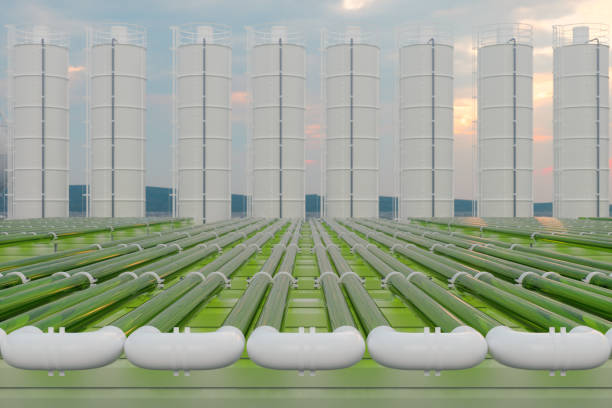rohralgen-bioreaktoren, die co2 fixieren, um biokraftstoff als alternativen kraftstoff mit lagertanks und blauem himmelshintergrund herzustellen - bio treibstoff fotos stock-fotos und bilder