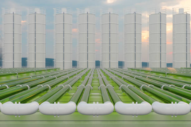 Tubular Algae Bioreactors Fixing CO2 To Produce Biofuel As An Alternative Fuel With Storage Tanks And Blue Sky Background Tubular Algae Bioreactors Fixing CO2 To Produce Biofuel As An Alternative Fuel With Storage Tanks And Blue Sky Background biofuel stock pictures, royalty-free photos & images