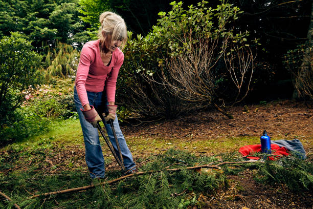 istock Woman using garden loppers on rhododendron bush 1392296851