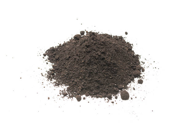 istock Black land for plant isolated on white background. 1392302475