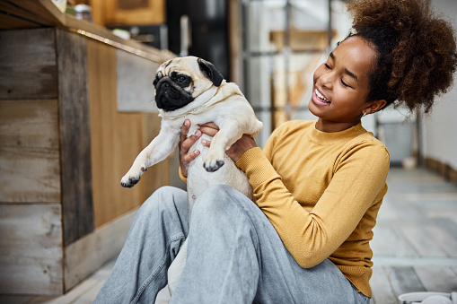 Happy African American girl having fun while spending time with her pug at home.
