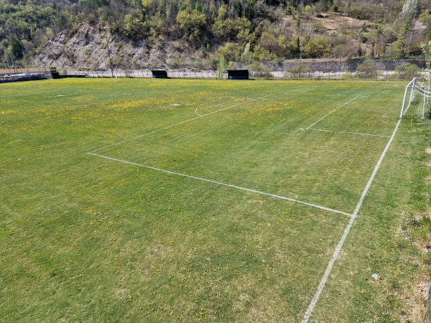 istock country soccer field with flowers 1392308081