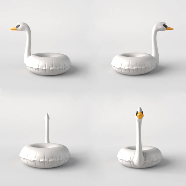 istock Set of swan float in four views isolated on white background. 3D illustration. 1392308363