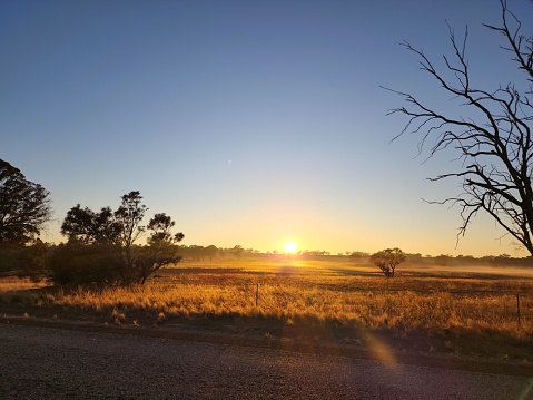 Golden Sunrise over outback farmland