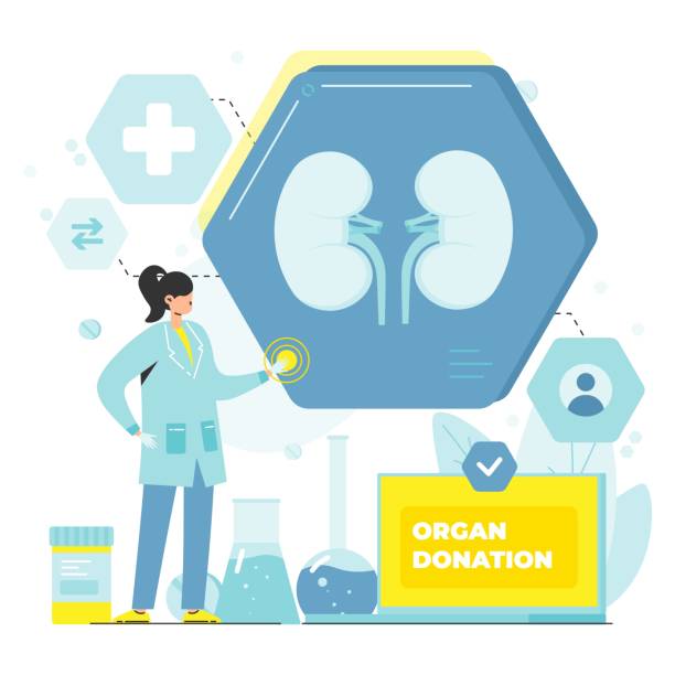 ilustraciones, imágenes clip art, dibujos animados e iconos de stock de tratamiento de donación de órganos y tratamiento de cirugía póster vectorial - kidney cancer