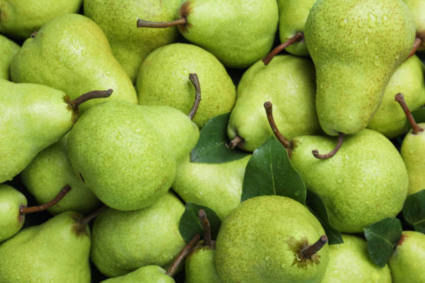 Many fresh ripe pears with water drops as background, closeup Many fresh ripe pears with water drops as background, closeup pear stock pictures, royalty-free photos & images