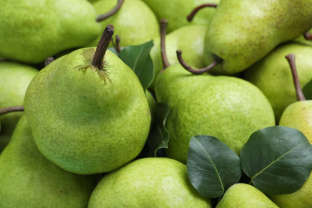 istock Many fresh ripe pears as background, closeup 1392313244