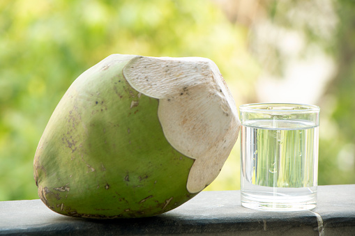 coco y su agua en un vaso photo