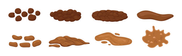 Poop excrement for bristol scale chart illustration. Poop excrement for bristol scale chart. Different type of poo - hard, soft, watery cartoon vector icon isolated on white background. Brown heap of shit . Flat design vector clip art poo illustration. diarrhoea stock illustrations