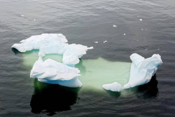 istock Antarctica - Pieces Of Floating Ice - Global Warming 1392315866