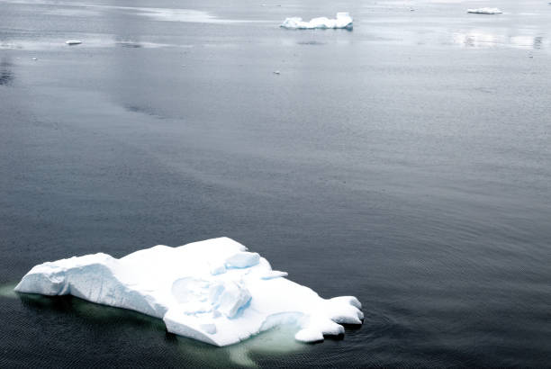 istock Antarctica - Pieces Of Floating Ice - Global Warming 1392315903
