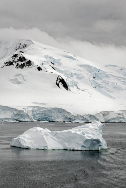 istock Antarctica - Pieces Of Floating Ice - Global Warming 1392315927