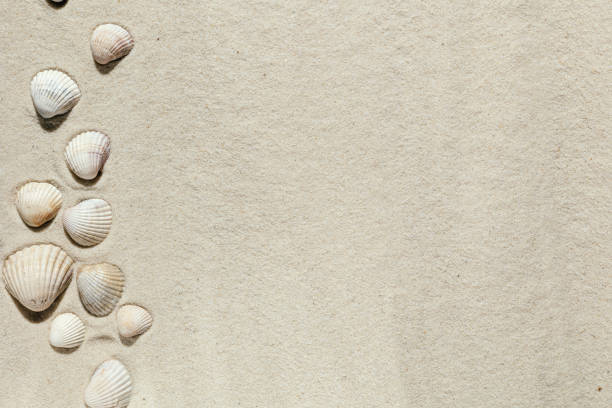 istock Background of light beach sand with space for text. 1392318560