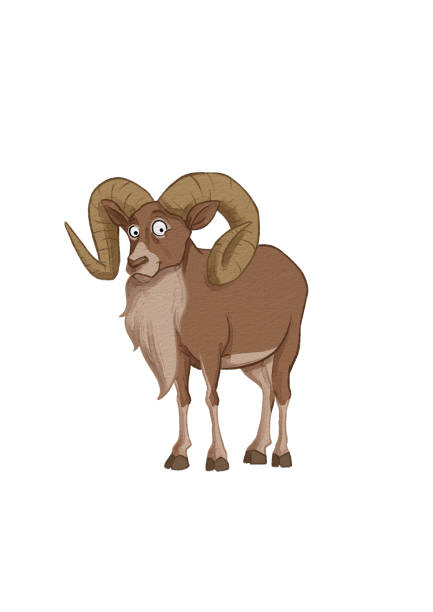 istock U letter animal flashcard, Urial character illustration for children education. Learn alphabet easily 1392320625