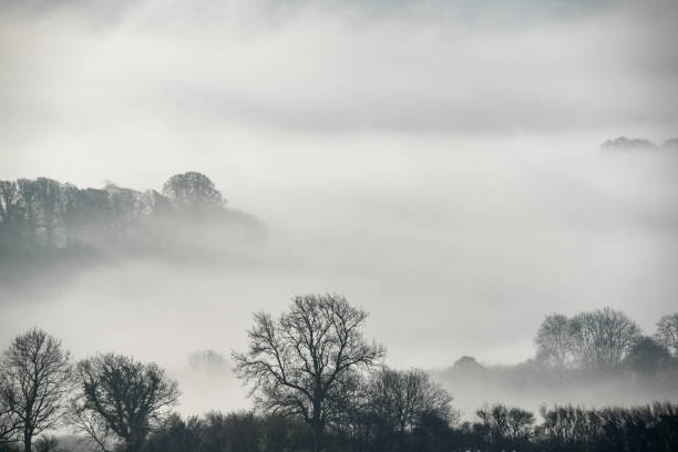 istock Dorset Landscape And Morning Mist 1392321813