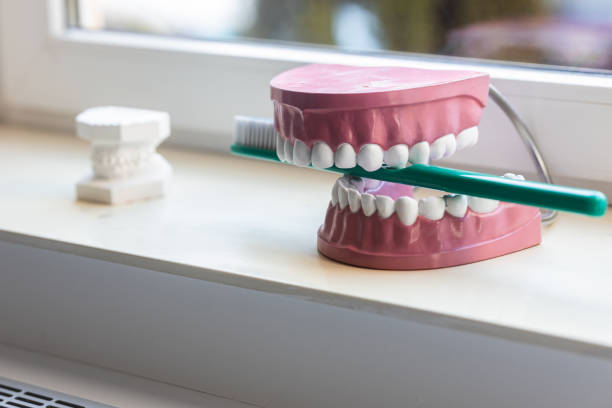 hygiène oral - teeth model photos et images de collection