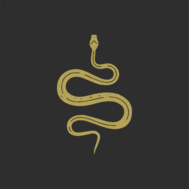 Curved snake antique minimalist hand drawn outline grunge texture vector illustration Curved snake antique minimalist hand drawn outline grunge texture vector illustration. Ancient wild reptile danger serpent venom poison symbol of wisdom, dangerous, natural wildlife isolated on black simple snake tattoo drawings stock illustrations