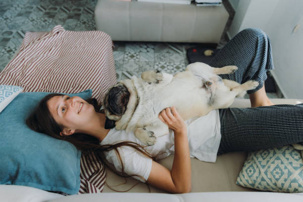 istock Female lying on the sofa playing with her dog 1392332237