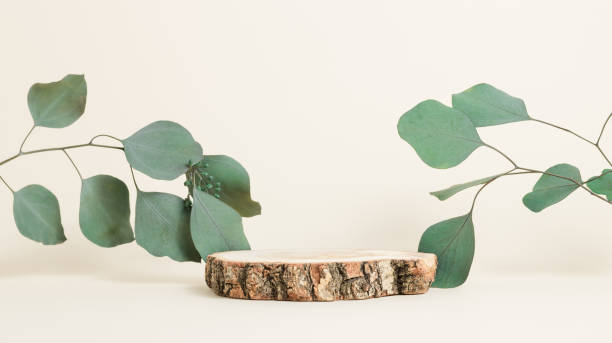 istock Wooden display with eucalyptus leaves on pastel background 1392333089