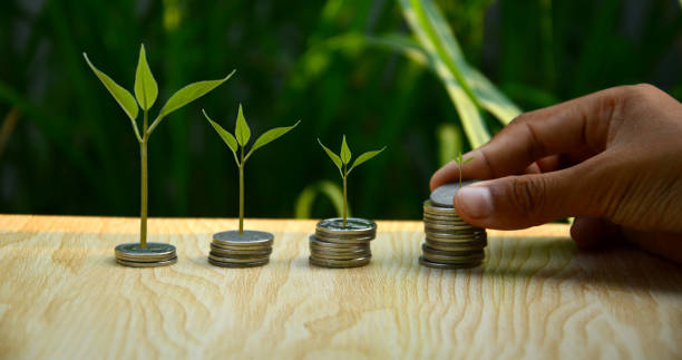 istock green tree growing on coins Interest growth, down payment, car loan concept 1392337086
