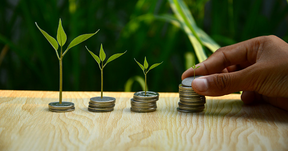 green tree growing on coins Interest growth, down payment, car loan concept