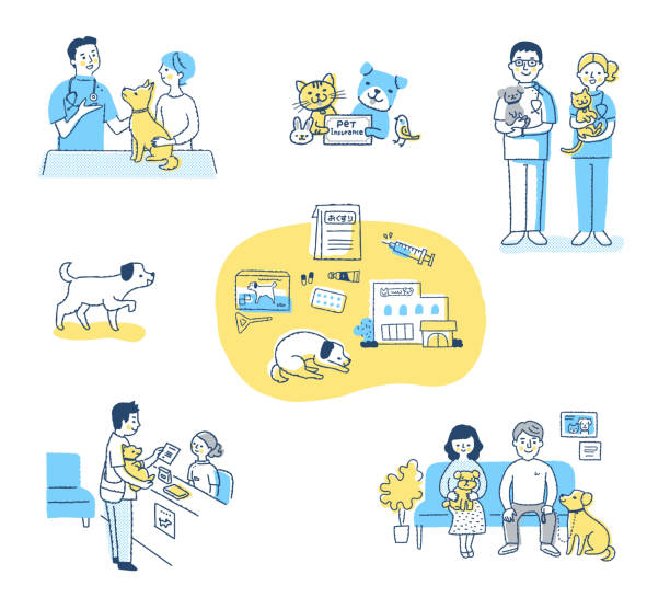 ilustrações de stock, clip art, desenhos animados e ícones de a set of life scenes with various pets - clínica veterinária