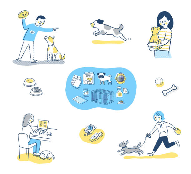 A set of life scenes with various pets Pets, life, care, health, lifestyle, variations, pet goods man walking a pug dog stock illustrations