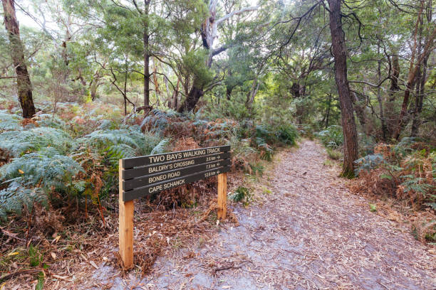 istock Two Bays Walking Track in Australia 1392339670