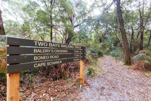 istock Two Bays Walking Track in Australia 1392339690